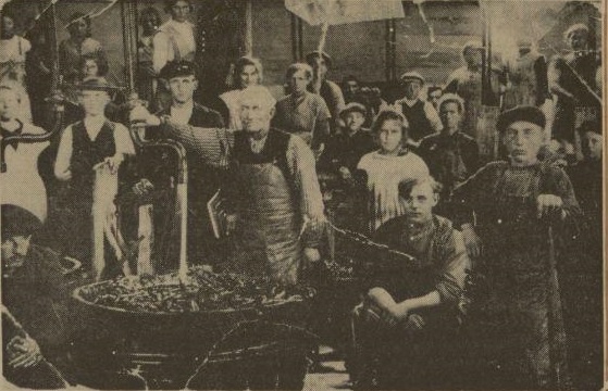 Bonen inleggerij Kiel-Windeweer Afbeelding Bonen inleggerij Kiel-Windeweer