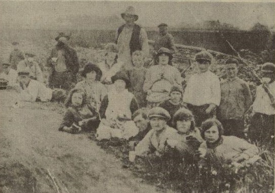 Afbeelding Vlastrekken in Wehe-Den Hoorn 1916